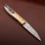 Flare Wharncliff 3.0 Liner Lock Front Flipper