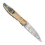 Flare Wharncliff 3.0 Liner Lock Front Flipper