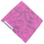 Pink Topo 2.0 Hamilton Hank
